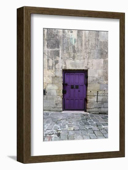 Cloony Purple 2-Tracey Telik-Framed Photographic Print