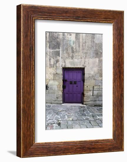 Cloony Purple 2-Tracey Telik-Framed Photographic Print