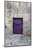 Cloony Purple 2-Tracey Telik-Mounted Photographic Print