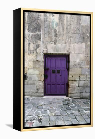 Cloony Purple 2-Tracey Telik-Framed Premier Image Canvas
