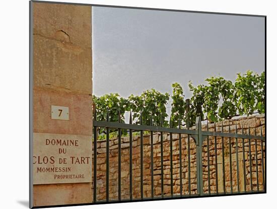 Clos De Tart Vineyard and Iron Gate in Morey Saint Denis, Bourgogne, France-Per Karlsson-Mounted Photographic Print