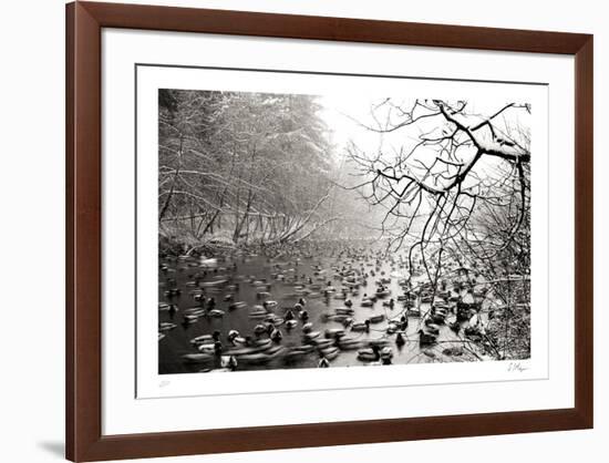 Close Company-Andrew Geiger-Framed Collectable Print