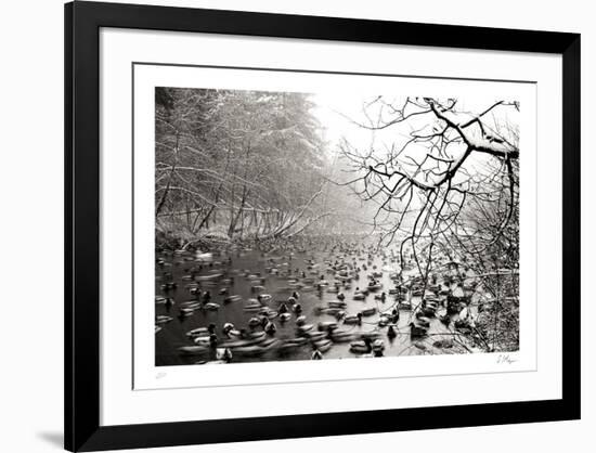 Close Company-Andrew Geiger-Framed Collectable Print