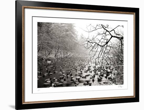 Close Company-Andrew Geiger-Framed Collectable Print