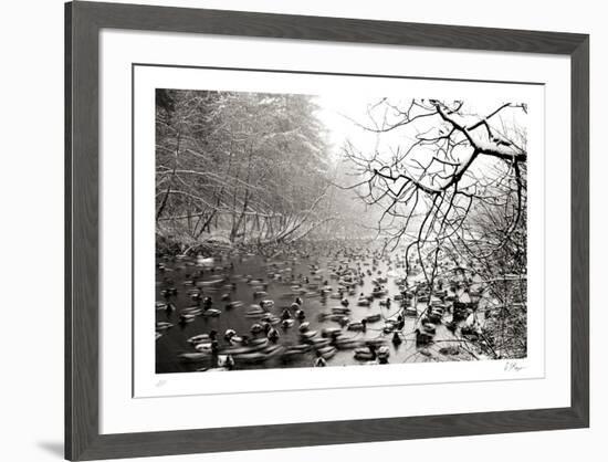Close Company-Andrew Geiger-Framed Collectable Print