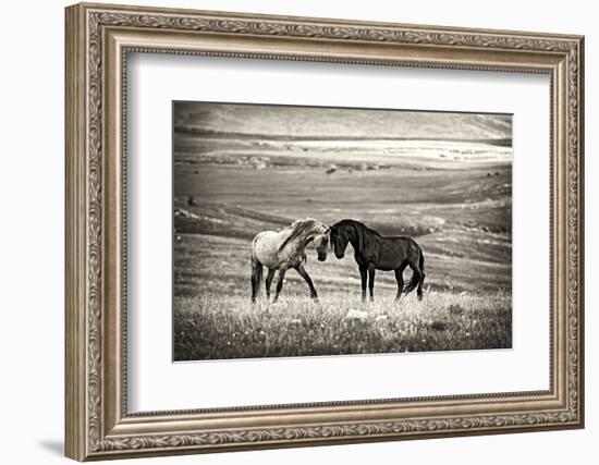 Close Encounter-Vedran Vidak-Framed Photographic Print