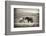 Close Encounter-Vedran Vidak-Framed Photographic Print