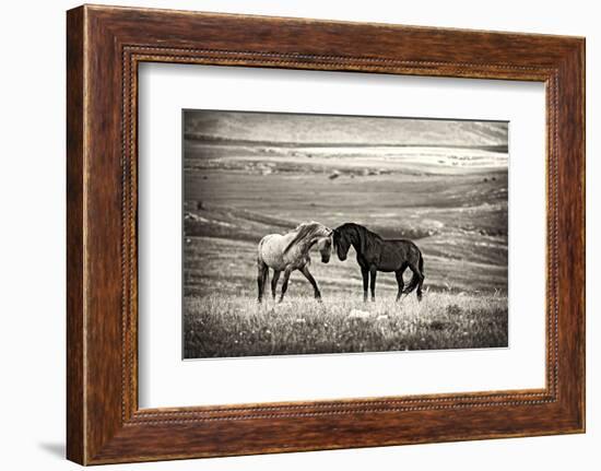 Close Encounter-Vedran Vidak-Framed Photographic Print