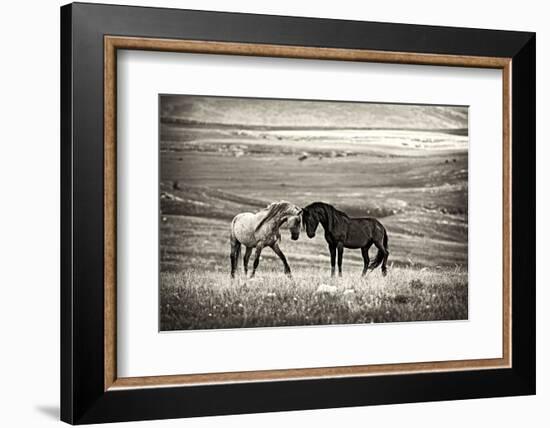 Close Encounter-Vedran Vidak-Framed Photographic Print