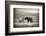 Close Encounter-Vedran Vidak-Framed Photographic Print