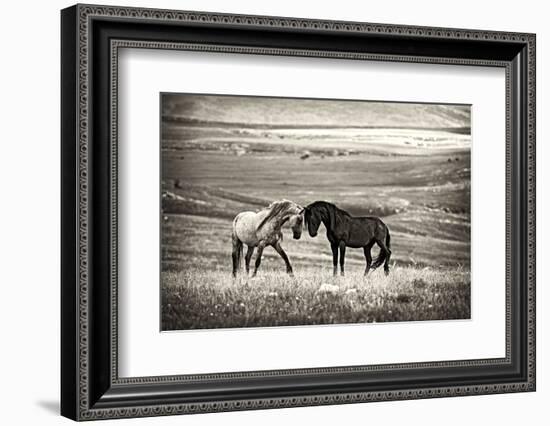 Close Encounter-Vedran Vidak-Framed Photographic Print