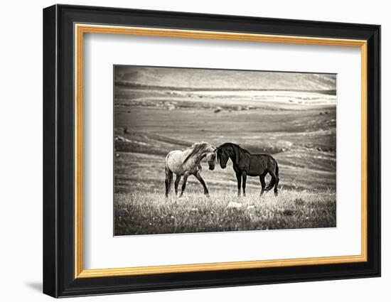 Close Encounter-Vedran Vidak-Framed Photographic Print