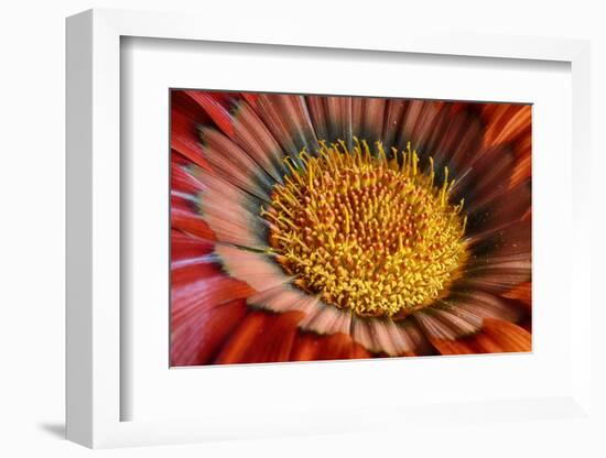 Close enough-Heidi Westum-Framed Photographic Print