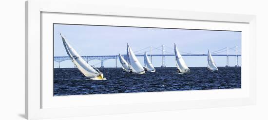 Close Hauled Flotilla-Alan Hausenflock-Framed Art Print