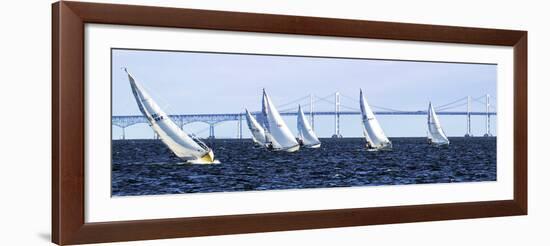 Close Hauled Flotilla-Alan Hausenflock-Framed Art Print