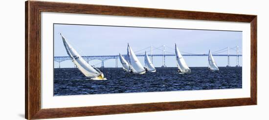 Close Hauled Flotilla-Alan Hausenflock-Framed Art Print