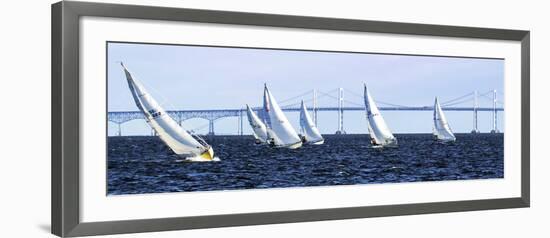 Close Hauled Flotilla-Alan Hausenflock-Framed Art Print