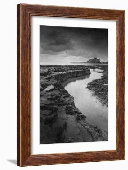 Close to Home-Craig Roberts-Framed Photographic Print
