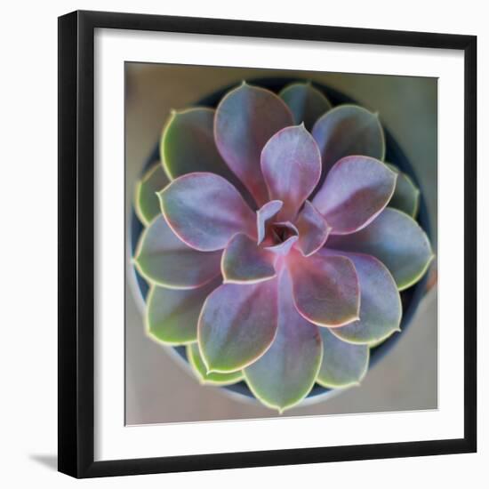 Close to Nature-Susan Bryant-Framed Photographic Print