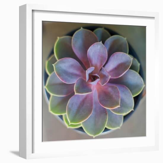 Close to Nature-Susan Bryant-Framed Photographic Print