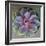 Close to Nature-Susan Bryant-Framed Photographic Print