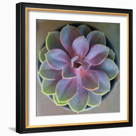 Close to Nature-Susan Bryant-Framed Photographic Print