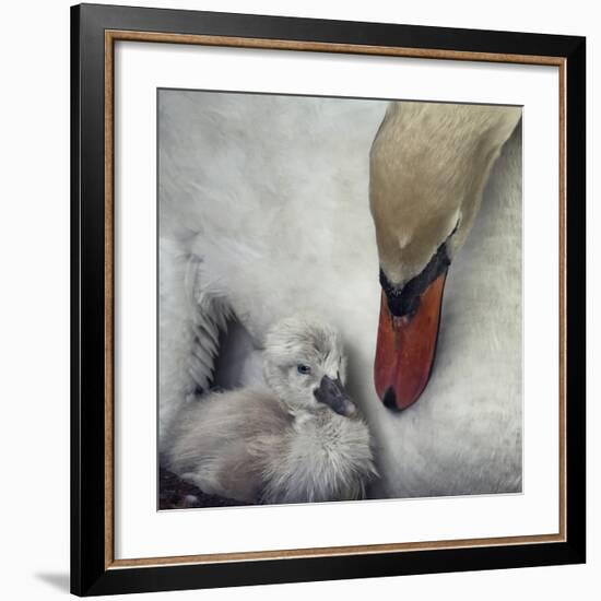 Close To You-Piet Flour-Framed Giclee Print