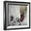 Close To You-Piet Flour-Framed Giclee Print