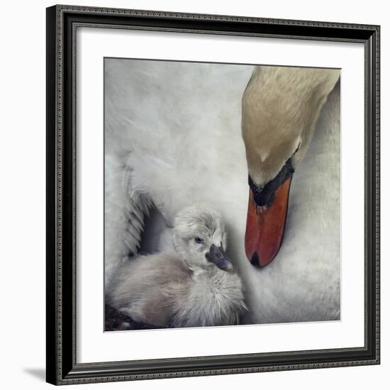 Close To You-Piet Flour-Framed Giclee Print