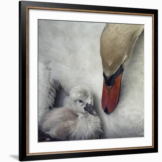 Close To You-Piet Flour-Framed Giclee Print