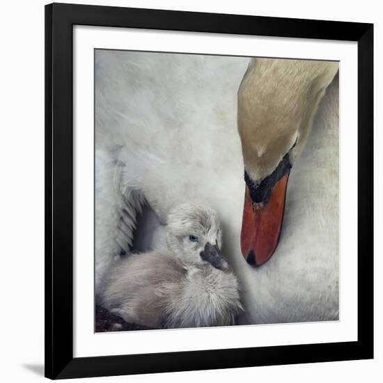 Close To You-Piet Flour-Framed Giclee Print