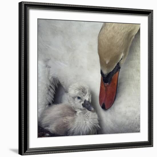 Close To You-Piet Flour-Framed Giclee Print