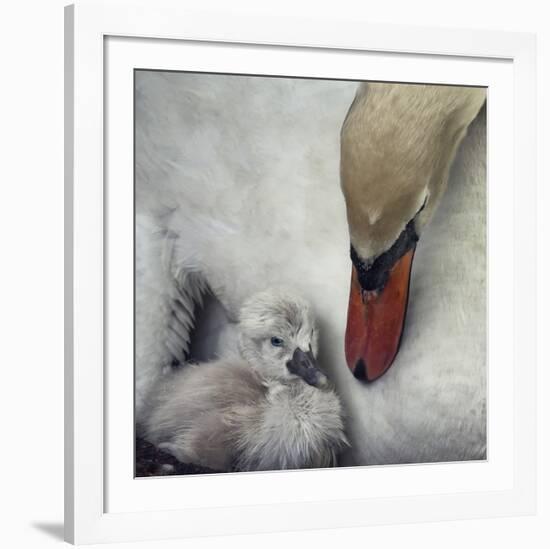 Close To You-Piet Flour-Framed Giclee Print