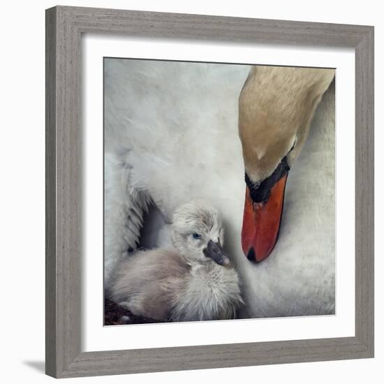 Close to You-Piet Flour-Framed Photographic Print