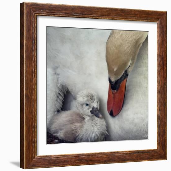 Close to You-Piet Flour-Framed Photographic Print