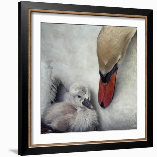 Close to You-Piet Flour-Framed Photographic Print