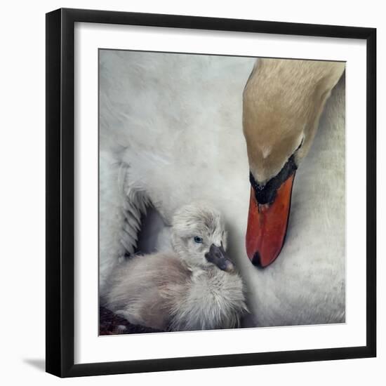 Close to You-Piet Flour-Framed Photographic Print