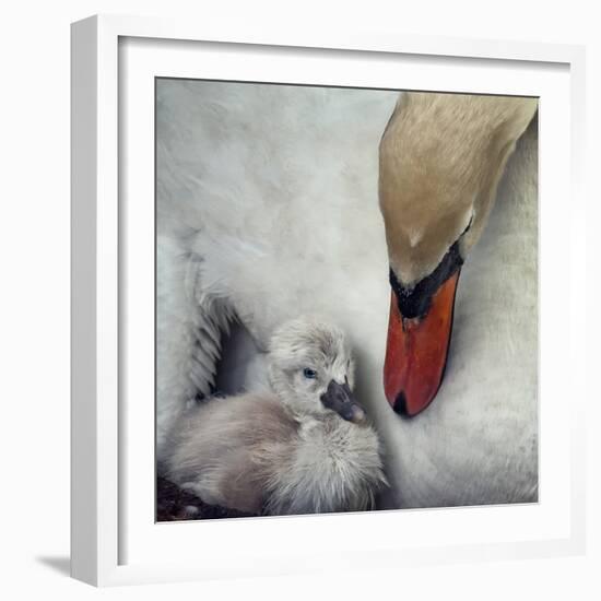 Close to You-Piet Flour-Framed Photographic Print