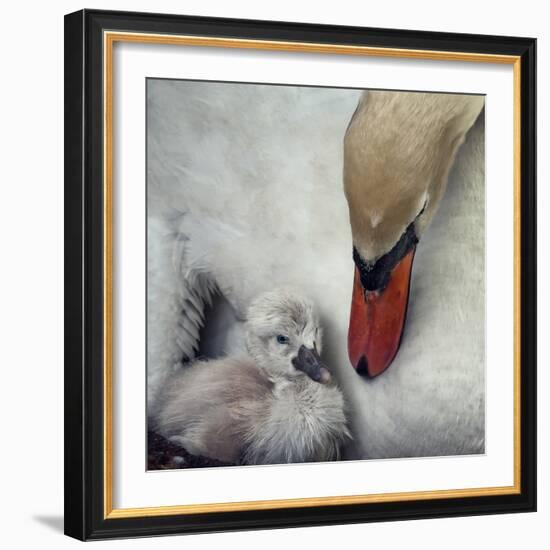 Close to You-Piet Flour-Framed Photographic Print