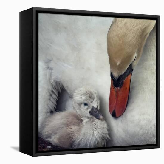 Close to You-Piet Flour-Framed Premier Image Canvas