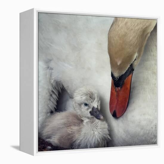 Close to You-Piet Flour-Framed Premier Image Canvas