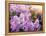 Close-Up Beautiful Lilac Flowers with the Leaves-Leonid Tit-Framed Premier Image Canvas