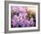 Close-Up Beautiful Lilac Flowers with the Leaves-Leonid Tit-Framed Photographic Print