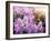 Close-Up Beautiful Lilac Flowers with the Leaves-Leonid Tit-Framed Photographic Print