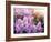 Close-Up Beautiful Lilac Flowers with the Leaves-Leonid Tit-Framed Photographic Print