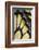 Close-Up Detail Wing Pattern of Tropical Butterfly-Darrell Gulin-Framed Photographic Print