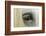 Close-Up Details of Gypsy Vanner Horse Eyeball, Crestwood, Kentucky-Adam Jones-Framed Photographic Print