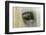 Close-Up Details of Gypsy Vanner Horse Eyeball, Crestwood, Kentucky-Adam Jones-Framed Photographic Print