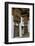 Close-Up from the Woodwork in the Dzong or Castle of Punakha, Bhutan, Asia-Michael Runkel-Framed Photographic Print