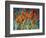 Close Up Garden I-Tim O'toole-Framed Giclee Print